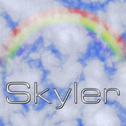 14 Skyler - disc 3 of The Decade Box